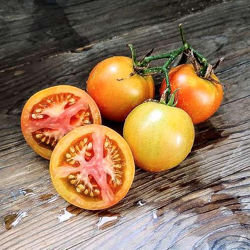 Long Keeper OG, Tomato Seeds: Heirloom Non-GMO Grown To Organic Standards Open Pollinated - BoxGardenSeedsLLC - Tomatoes,Tomatillos - Seeds - USA Seller, Thank you for shopping here today, Naturally Grown GMO Free Seeds, Heirloom Open Pollinated Seeds, Fresh Top Qualiy Premium Seeds, More Fresh Seeds Per Packet