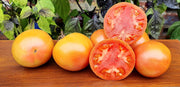 Long Keeper OG, Tomato Seeds: Heirloom Non-GMO Grown To Organic Standards Open Pollinated - BoxGardenSeedsLLC - Tomatoes,Tomatillos - Seeds - USA Seller, Thank you for shopping here today, Naturally Grown GMO Free Seeds, Heirloom Open Pollinated Seeds, Fresh Top Qualiy Premium Seeds, More Fresh Seeds Per Packet