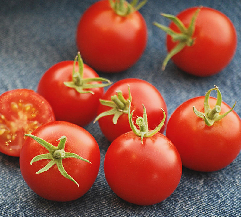 42 Day, Tomato, Heirloom Garden Seeds Grown to Organic Standards, Open Pollinated Gardening, Non-GMO - BoxGardenSeedsLLC - Tomatoes,Tomatillos - Seeds - USA Seller, Thank you for shopping here today, Naturally Grown GMO Free Seeds, Heirloom Open Pollinated Seeds, Fresh Top Quality Premium Seeds