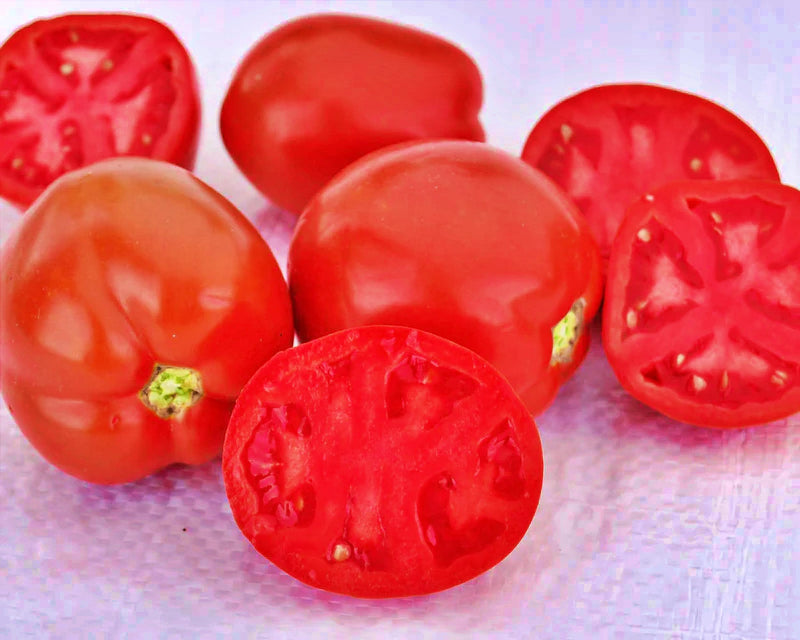 Saucy Lady, Tomato Seeds: Non-GMO Heirloom Seeds Grown To Organic Standards Open Pollinated - BoxGardenSeedsLLC - Tomatoes,Tomatillos - Seeds - Thank you so much for shopping here today, Fresh Heirloom Vegetable Seeds, Naturally Grown Open Pollinated, More Seeds for Your Money, More Fresh Seeds Per Packet, USA Seller, Thank you for shopping here today, Naturally Grown GMO Free Seeds, Heirloom Open Pollinated Seeds, Fresh Top Qualiy Premium Seeds, Fresh Top Quality Premium Seeds