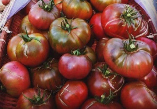 Paul Robeson, Tomato Seeds: Sweet Purple Heirloom - Non-GMO Open Pollinated - BoxGardenSeedsLLC - Tomatoes,Tomatillos - Seeds - Thank you so much for shopping here today, Fresh Heirloom Vegetable Seeds, Naturally Grown Open Pollinated, More Seeds for Your Money, More Fresh Seeds Per Packet, USA Seller, Thank you for shopping here today, Naturally Grown GMO Free Seeds, Heirloom Open Pollinated Seeds, Fresh Top Qualiy Premium Seeds, Fresh Top Quality Premium Seeds