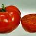 Mortgage Lifter, Tomato, - BoxGardenSeedsLLC -Tomatoes,Tomatillos - Seeds