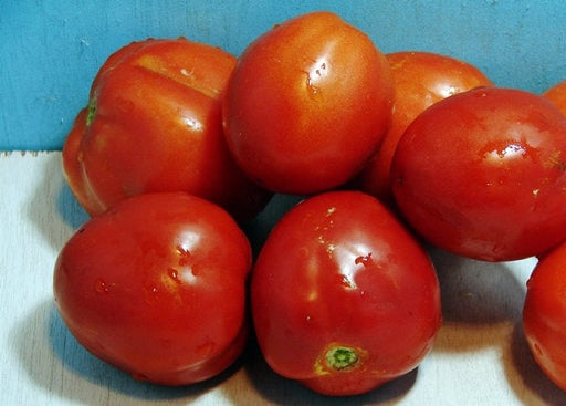- BoxGardenSeedsLLC - Mother Russia, Tomato, - Tomatoes,Tomatillos - Seeds