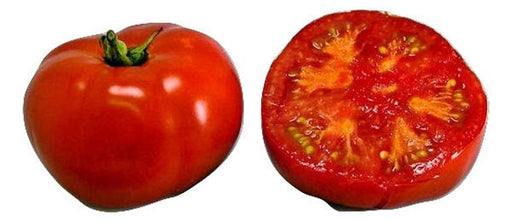 - BoxGardenSeedsLLC - Manitoba, Tomato, - Tomatoes,Tomatillos - Seeds