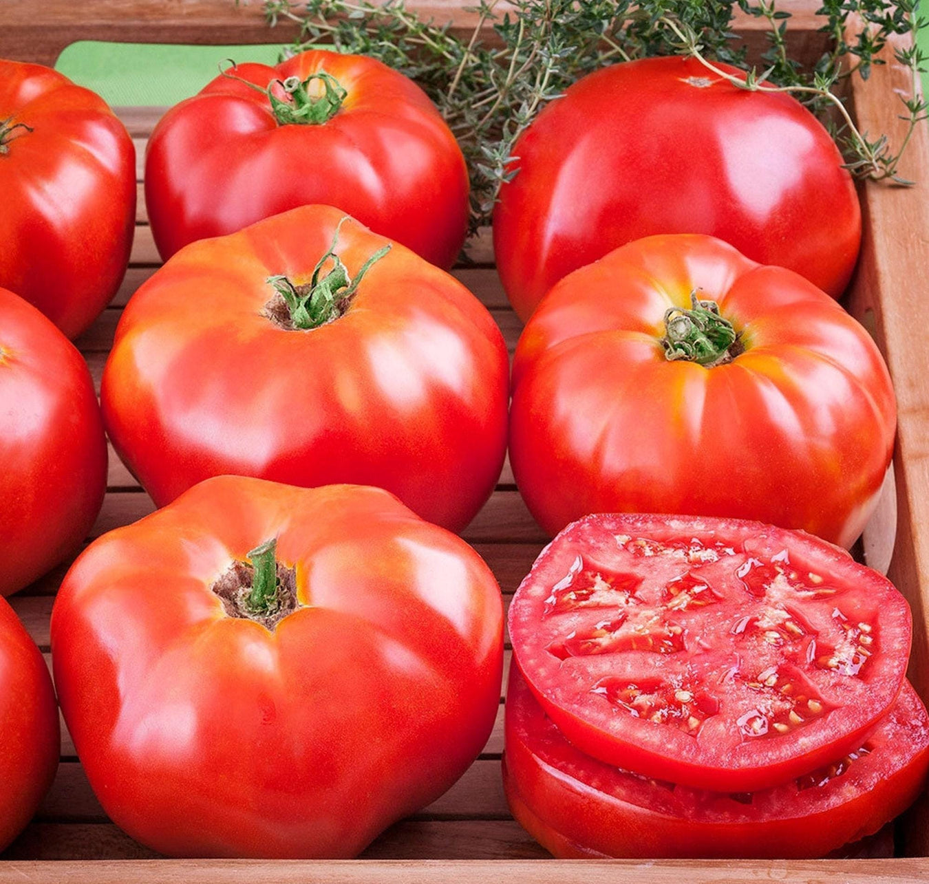 Start Your Spring Garden Now