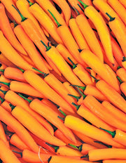 Orange Cayenne Pepper - Heirloom Hot Pepper Seeds | Non GMO Capsicum Annuum