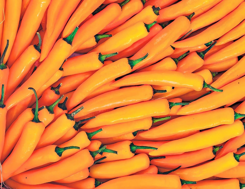 Orange Cayenne Pepper - Heirloom Hot Pepper Seeds | Non GMO Capsicum Annuum