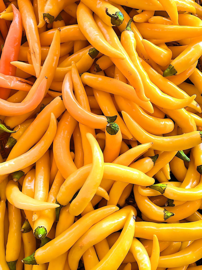 Orange Cayenne Pepper - Heirloom Hot Pepper Seeds | Non GMO Capsicum Annuum