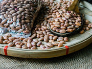 Pinto Dry Bush Beans - Heirloom Garden Seeds | Organic Vegetable Seeds