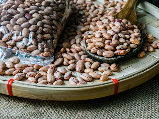 Pinto Dry Bush Beans - Heirloom Garden Seeds | Organic Vegetable Seeds