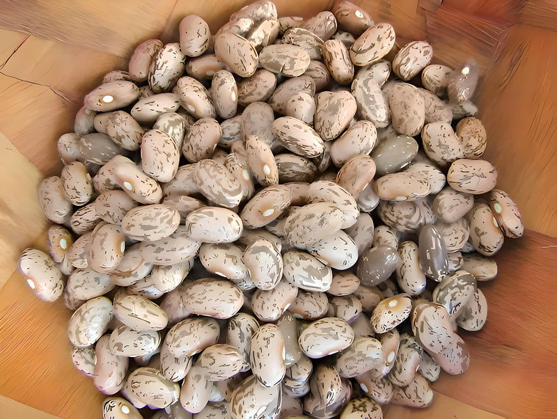 Pinto Dry Bush Beans - Heirloom Garden Seeds | Organic Vegetable Seeds