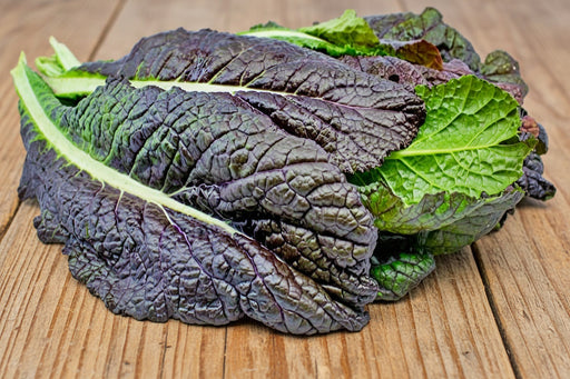 Red Garnet Mustard Seeds - Heirloom, Spicy Greens With Deep Red Leaves