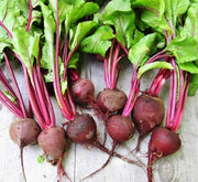 Detroit Beet Seeds - Heirloom Vegetable Seed Collection | Golden & White Varieties