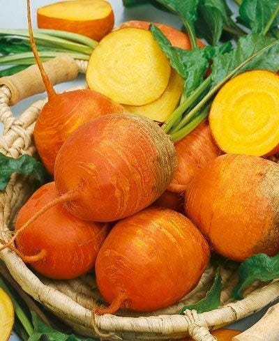 Detroit Beet Seeds - Heirloom Vegetable Seed Collection | Golden & White Varieties