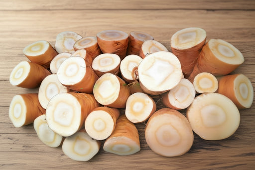 Heirloom Parsnip Seeds - Harris Model Root Vegetable | Non GMO Garden Variety