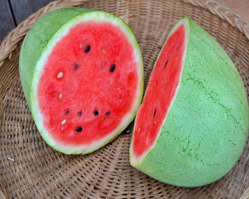 Bozeman Watermelon Seeds – Early Maturing Melon With Pink Flesh & Speckled Skin