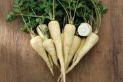 Heirloom Parsnip Seeds - Harris Model Root Vegetable | Non GMO Garden Variety