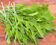 Mizuna Mustard Greens - Heirloom Mustard Seeds | Fast Growing, Heat Tolerant Greens