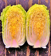 Matsushima Napa Cabbage - Heirloom Japanese Pickling Cabbage Seeds for Cool Season