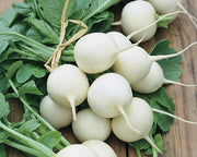 White Hailstone Radish - Heirloom Radish Seeds with Crisp White Roots, Non GMO