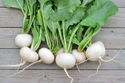 White Hailstone Radish - Heirloom Radish Seeds with Crisp White Roots, Non GMO