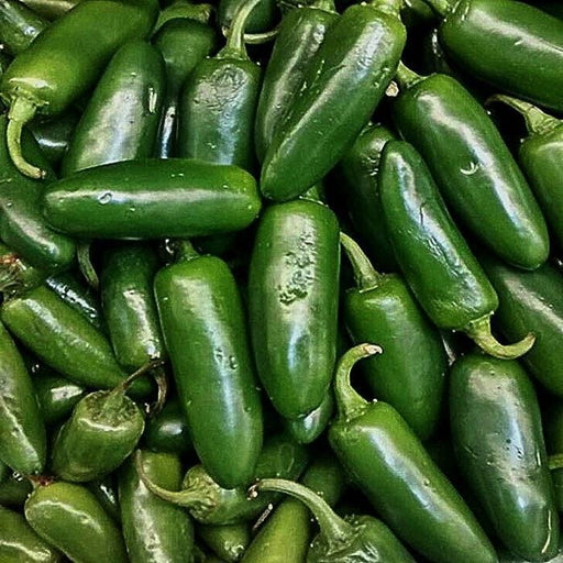 Early Jalapeno Seeds - Heirloom Hot Pepper Plants | Easy to Grow, Thick Walled, USA Grown