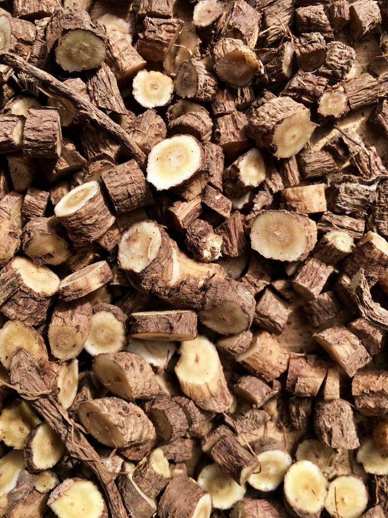 Elecampane Herb Seeds – Heirloom Perennial Medicinal & Culinary Plant