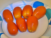 Mountain Roma Paste Tomato