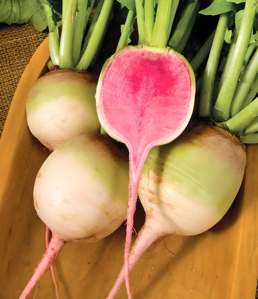 Watermelon Red Meat Radish - Heirloom Non-GMO Vegetable Garden Seeds, Crisp Sweet Roots