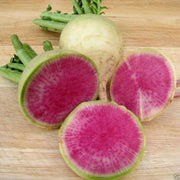 Watermelon Red Meat Radish - Heirloom Non-GMO Vegetable Garden Seeds, Crisp Sweet Roots
