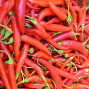 Thai Hot Pepper - Heirloom Capsicum Annuum Seeds | Spicy Garden Peppers 50,000 SHU