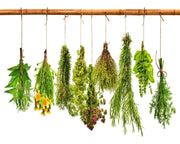 Heirloom Herb Seeds - Culinary Herb Seed Collection | Organic Garden Starter Kit