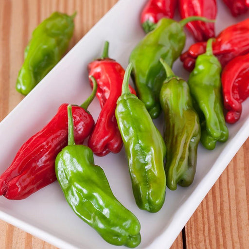 Shishito Hot Pepper - Heirloom Pepper Seeds for Easy Container Gardening
