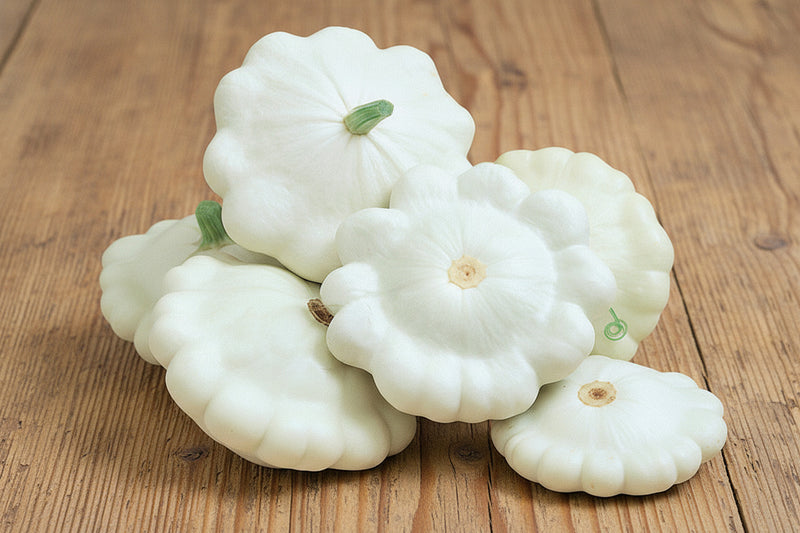 Early White Bush Scallop - Heirloom Summer Squash Seeds | Non GMO, Easy to Grow