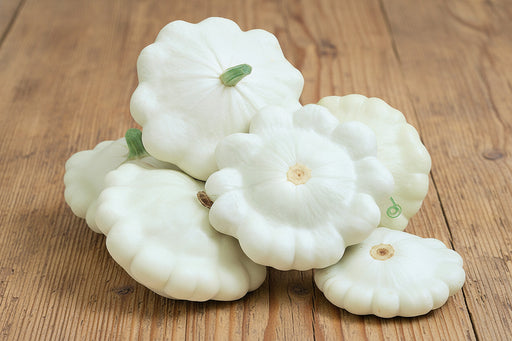 Early White Bush Scallop - Heirloom Summer Squash Seeds | Non GMO, Easy to Grow
