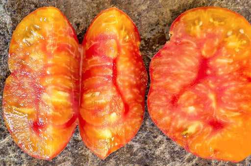 Old German Tomato