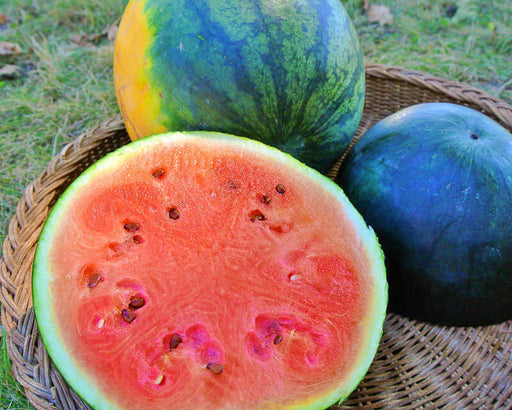 Katanya Watermelon Seeds - Heirloom Ice Box Melon With Sweet Crisp Flesh