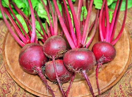Crosbys Egyptian Beets - Heirloom Beet Seeds | Sweet Early Pickling Variety