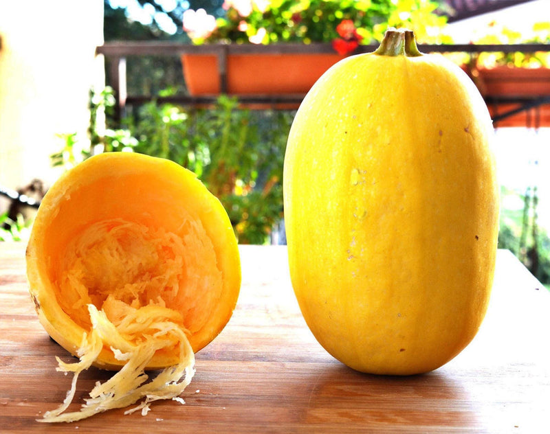 Winter Squash Seeds - Heirloom Vegetable Spaghetti Squash | Yellow Oblong, Non GMO