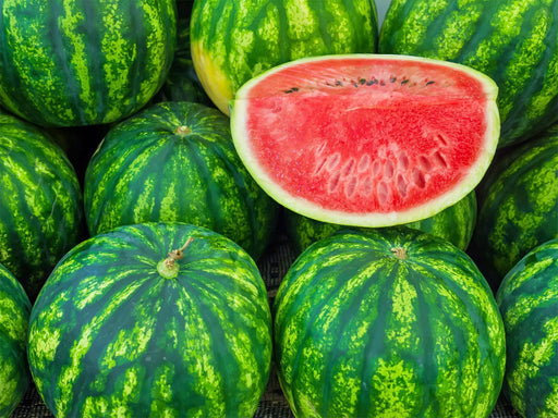 Cal Sweet Bush Watermelon - Compact Patio Melon Plant With Juicy Sweet Red Flesh