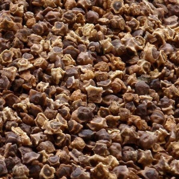 Sugar Beet Seeds - Heirloom Non GMO Open Pollinated Beta Vulgaris Seeds
