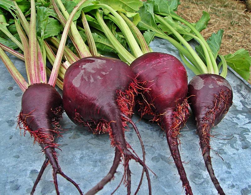 a collection of fresh, vibrant red beets with their roots exposed, arranged on a surface.