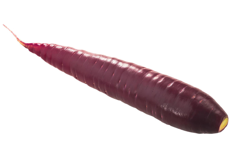 Cosmic Purple Carrot - Heirloom Vegetable Garden Seeds | Non GMO, Sweet Flavor