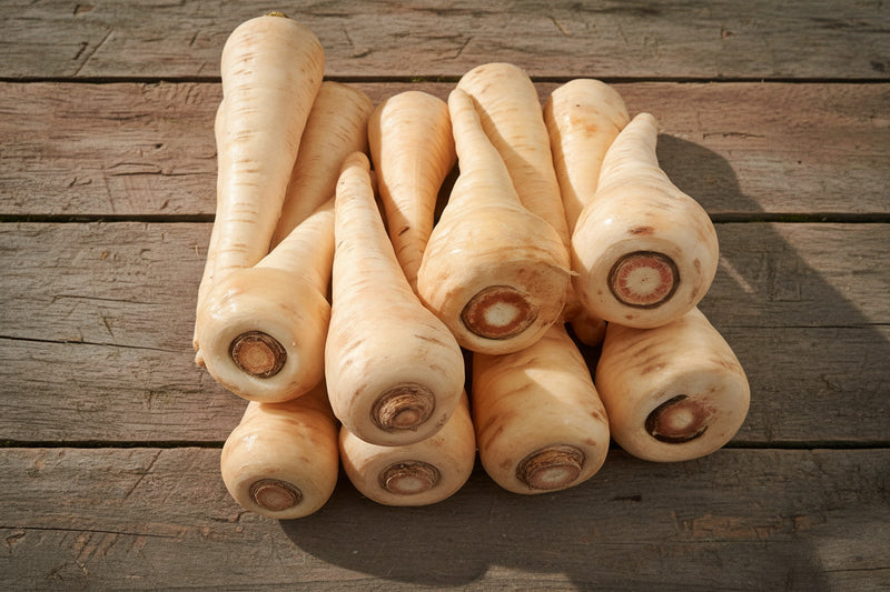 Hollow Crown Parsnip - Heirloom Seeds With Sweet Nutty Flavor | Winter Hardy Root Vegetable