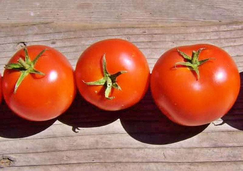 Perfect Rogue Tomato