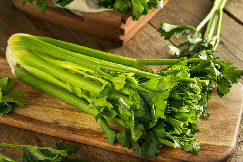 Tendercrisp Celery Seeds - Heirloom Non GMO Vegetable for Salads & Snacks