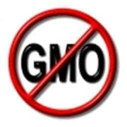 a red circle with a diagonal line through it, and the letters "GMO" inside the circle.