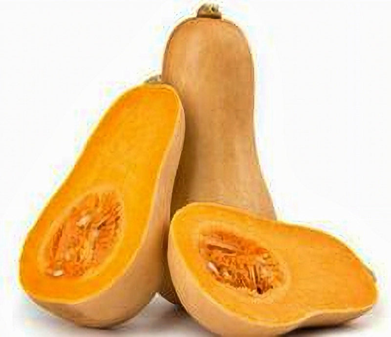 Waltham Butternut Squash Heirloom Winter Seeds – Sweet, Nutty Flavor, 90 Days