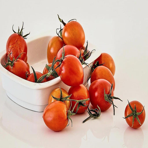 Bellstar Tomato