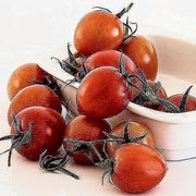 A white bowl filled with ripe, red tomatoes sits on a white surface, surrounded by additional tomatoes.